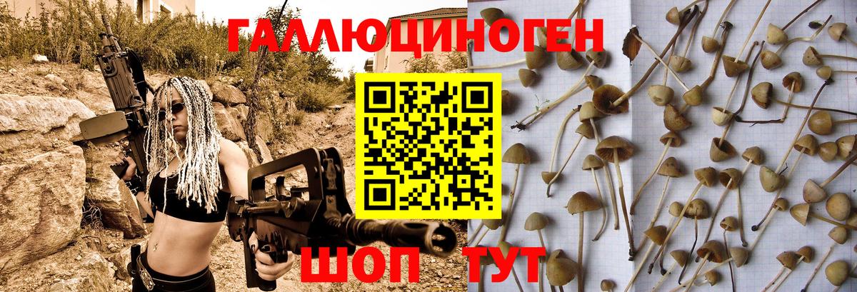 Псилоцибиновые грибы Cubensis Костомукша