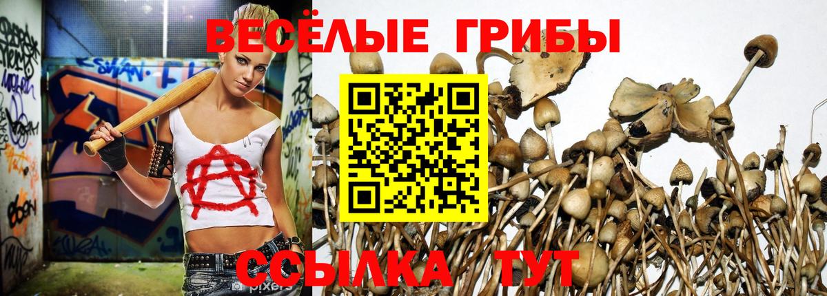 Костомукша  Кокаин  APVP СОЛЬ кристаллы  Меф   ГАШИШ  Лсд 25  Меф МЯУ МЯУ кристаллы  АМФ кристаллы  Бошки Шишки 