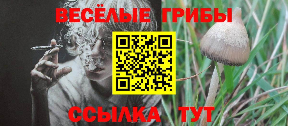 Псилоцибиновые грибы Magic Shrooms  где найти   Псилоцибиновые грибы MAGIC MUSHROOMS  Костомукша 