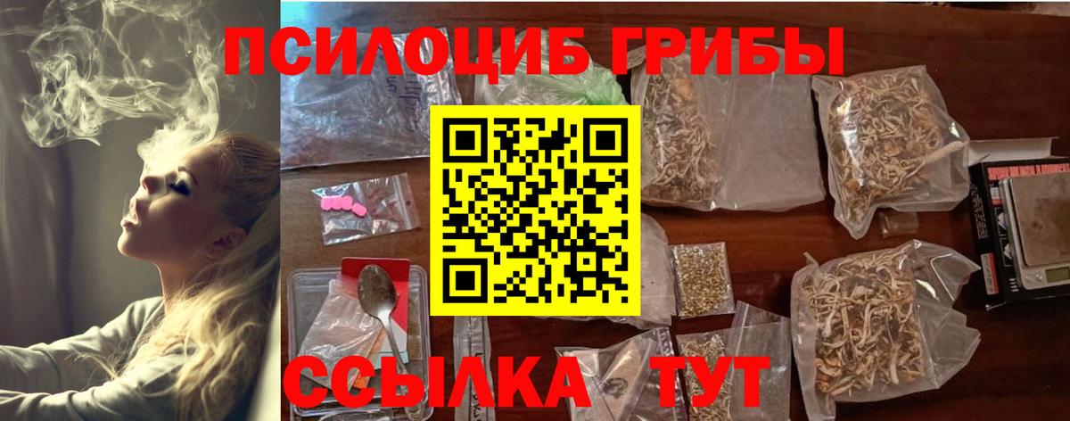 Псилоцибиновые грибы GOLDEN TEACHER Костомукша