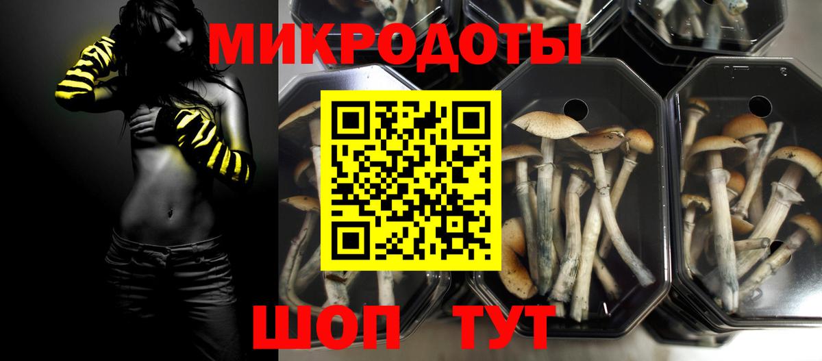 Костомукша  Псилоцибиновые грибы ЛСД  Вход с VPN 